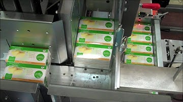 Astro Packaging Model FS24WAG wrap around case packer for butter