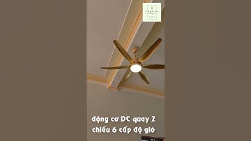 Quạt trần trang trí 6 cánh nhựa abs có chao đèn phần 1