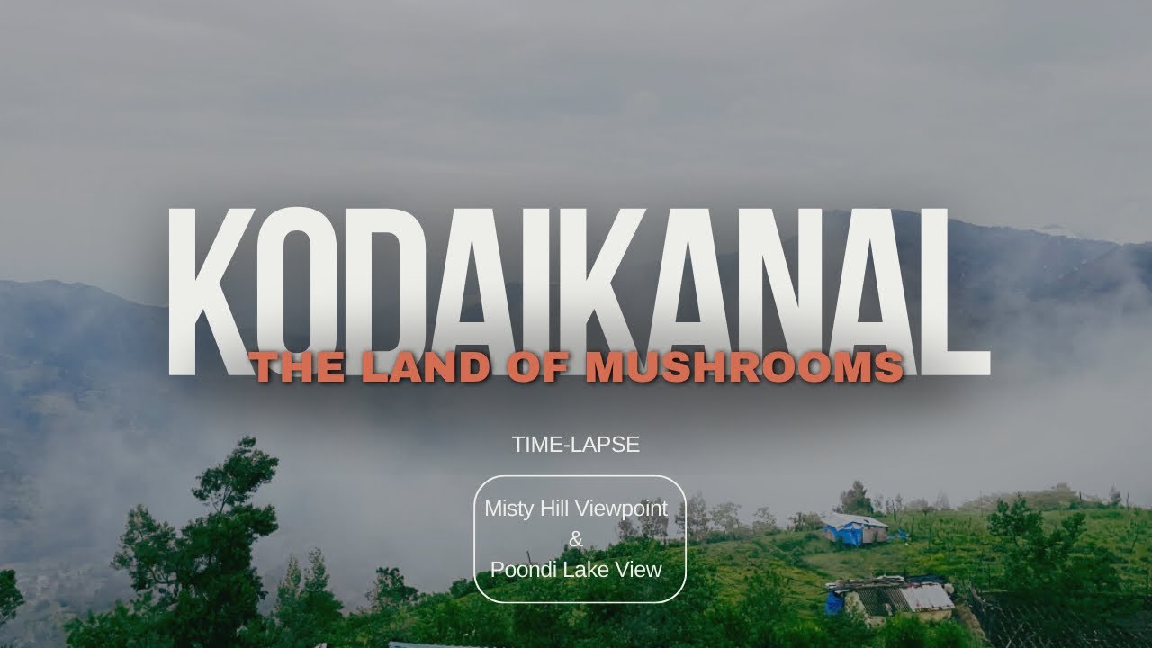 Time-lapse of Kodaikanal Misty Hill Viewpoint & Poondi Lake View 🥰 ...