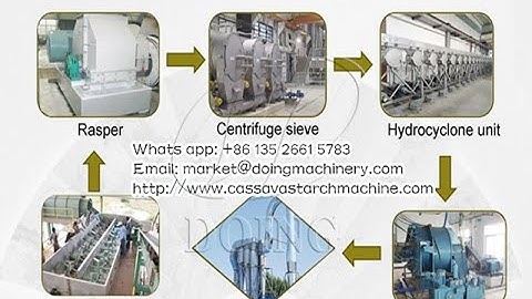 Cassava starch processing plant overview and main machine