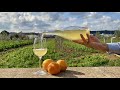 How to make ORANGE WINE at Home 🍊Homemade ORANGE WINE recipe 🍷 #orangewine