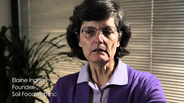 Soil Biologist Elaine Ingham Explains the Importan...