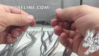 Keough Hackle Value Pack