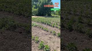 Üretim Sahasından Enstantaneler...