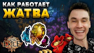 видео: ГАЙД от НОВИЧКА - ОСНОВА, СКАРАБЫ, АТЛАС и СТРАТЕГИЯ под ХАРВЕСТ - И ПРО СЕВООБОРОТ в ЖАТВЕ PoE 3.26 картинка: ГАЙД от НОВИЧКА - ОСНОВА, СКАРАБЫ, АТЛАС и СТРАТЕГИЯ под ХАРВЕСТ - И ПРО СЕВООБОРОТ в ЖАТВЕ PoE 3.26