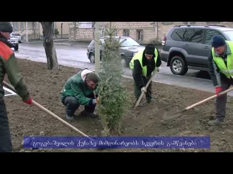 გოგებაშვილის ქუჩაზე სკვერის მოწყობა მიმდინარეობს