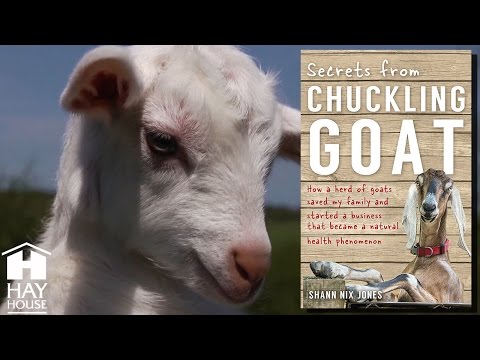 What I've learned from life on a farm: Chuckling Goat