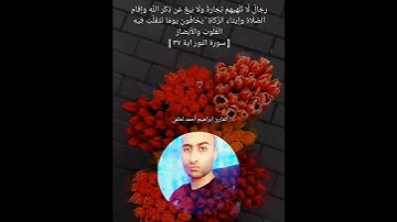 تلاوة فاقت الوصف من الجمال والهدوء من سورة النور 💧🥀