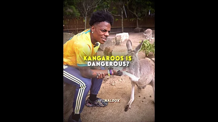 iShowSpeed learns about kangaroo strength 😳💪 #ishowspeed #kangaroo #edit