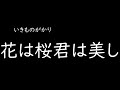 [가사/해석]이키모노가카리(いきものがかり)-꽃은 벚꽃 넌 아름다워(花は桜 君は美し)