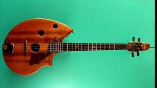 Shell back baritone ukulele made by Ray Vincent. Sound sample demo.