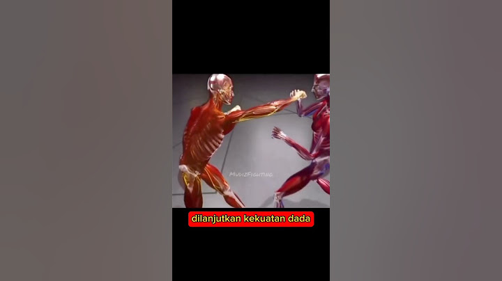 Dari Sini Sumber Pukulan Keras Berasal #shortvideo #shortsfeed #tinju #mma #muaythai
