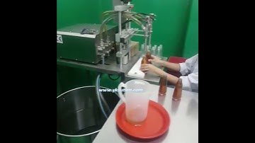 2 nozzle servo gear pump filling machine