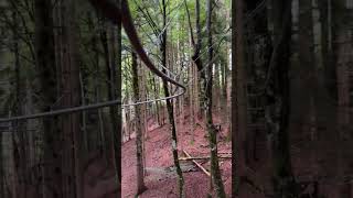Onride |  Fly Line | Unternberg | 09.2025 |