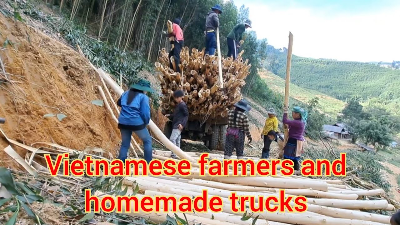Home Made Rucks Harvesting Gum Trees and Off-Road Adventures with Homemade Trucks - YouTube
