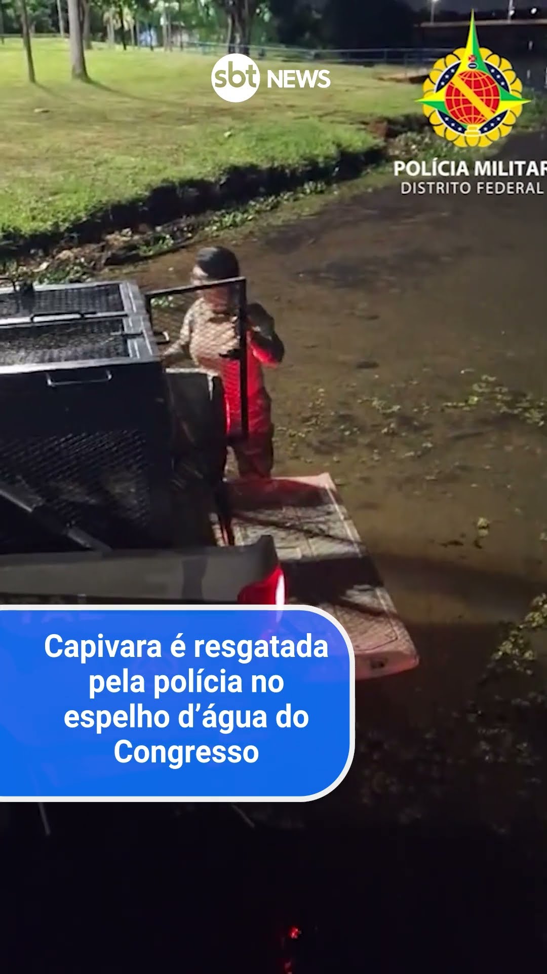 Capivara é resgatada pela polícia no espelho d'água do Congresso Nacional
