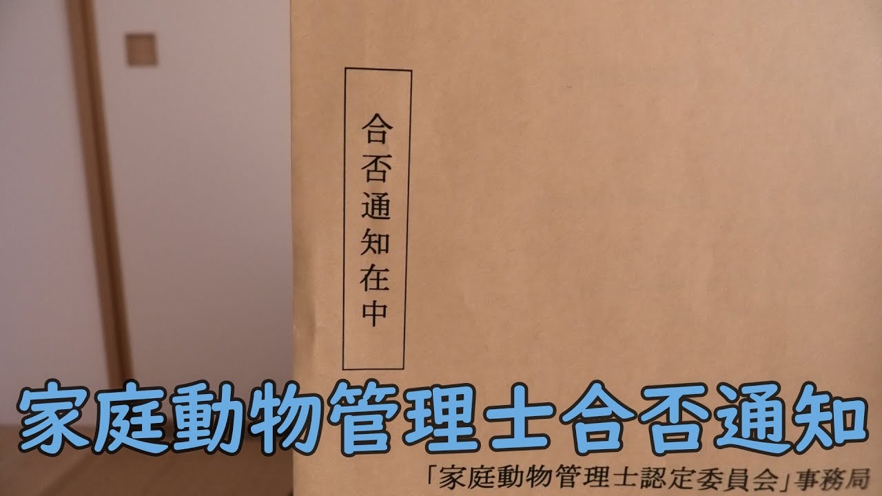 【家庭動物管理士合否通知】合否通知が届いたので開封してみます！駄菓子屋トカゲのおっさん！ Candy store! Gecko`s Uncle