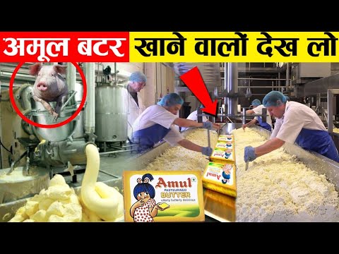 अमूल बटर खाने वालों इस वीडियो को जरूर देख लो ! How amul butter is made in the factory