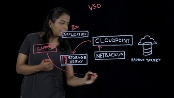 Snapshot-based Data Protection with NetBackup