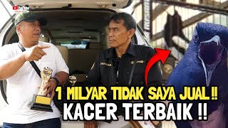 1 MILYAR SAYA TIDAK AKAN JUAL 😱 INI BURUNG KACER TERBAIK ❗