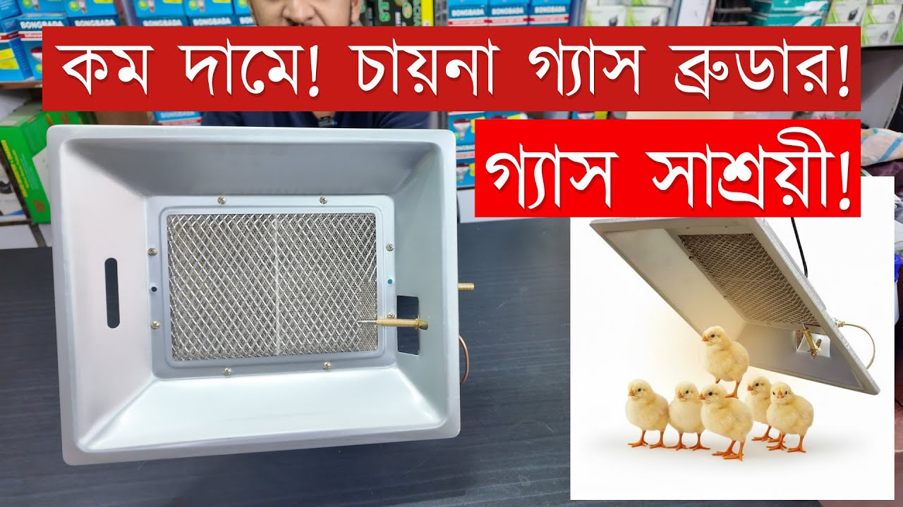 কম দামে! অরিজিনাল চায়না গ্যাস ব্রুডার! china gas brooder price