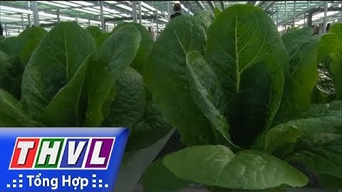 THVL | Phát triển 15.000 HTX và liên hiệp HTX nông nghiệp hoạt động hiệu quả vào năm 2020