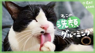 【ASMR】The grooming sound of a cat washing its face#86