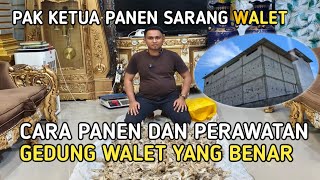 Download Lagu PAK KETUA PANEN SARANG WALET CARA PANEN DAN PERAWATAN GEDUNG WALET YANG BENAR✅ MP3 Download Lagu PAK KETUA PANEN SARANG WALET CARA PANEN DAN PERAWATAN GEDUNG WALET YANG BENAR✅ MP3
