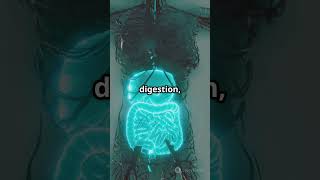 Your Gut Is A SECOND Brain!