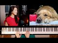 Can't Take My Eyes Off You - Cover by Sangah Noona - Vocal & Piano - Featuring Her Golden Retriever