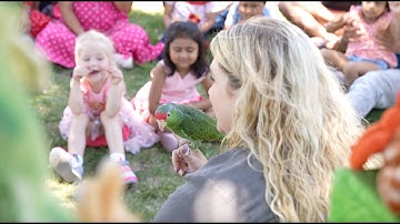 Zovargo Special Events