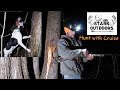 COON HUNT WITH TREEING WALKER COONHOUND