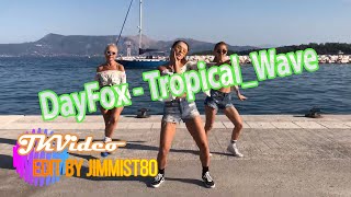 DayFox - Tropical Wave