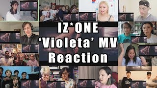 IZ*ONE (아이즈원) - 비올레타 (Violeta) MV &quot;Reaction Mashup&quot;