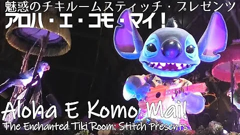 魅惑のチキルーム Hd 魅惑のチキルーム Hd
