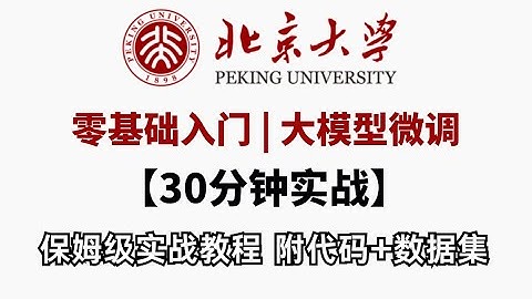 【零基础速通】大模型微调保姆级教程！30分钟从入门到实战，小白也能轻松上手（附完整代码+数据集）