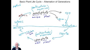 Introduction to the Course Plant Systematics