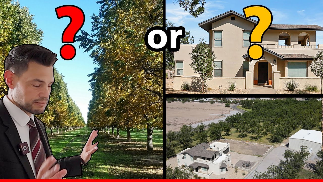 Pecan Orchard Estate vs City Living Which is Better for You?