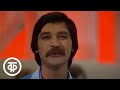 ВИА "Верасы" - "Малиновка" Фрагмент программы "Песня - 80" (1980)