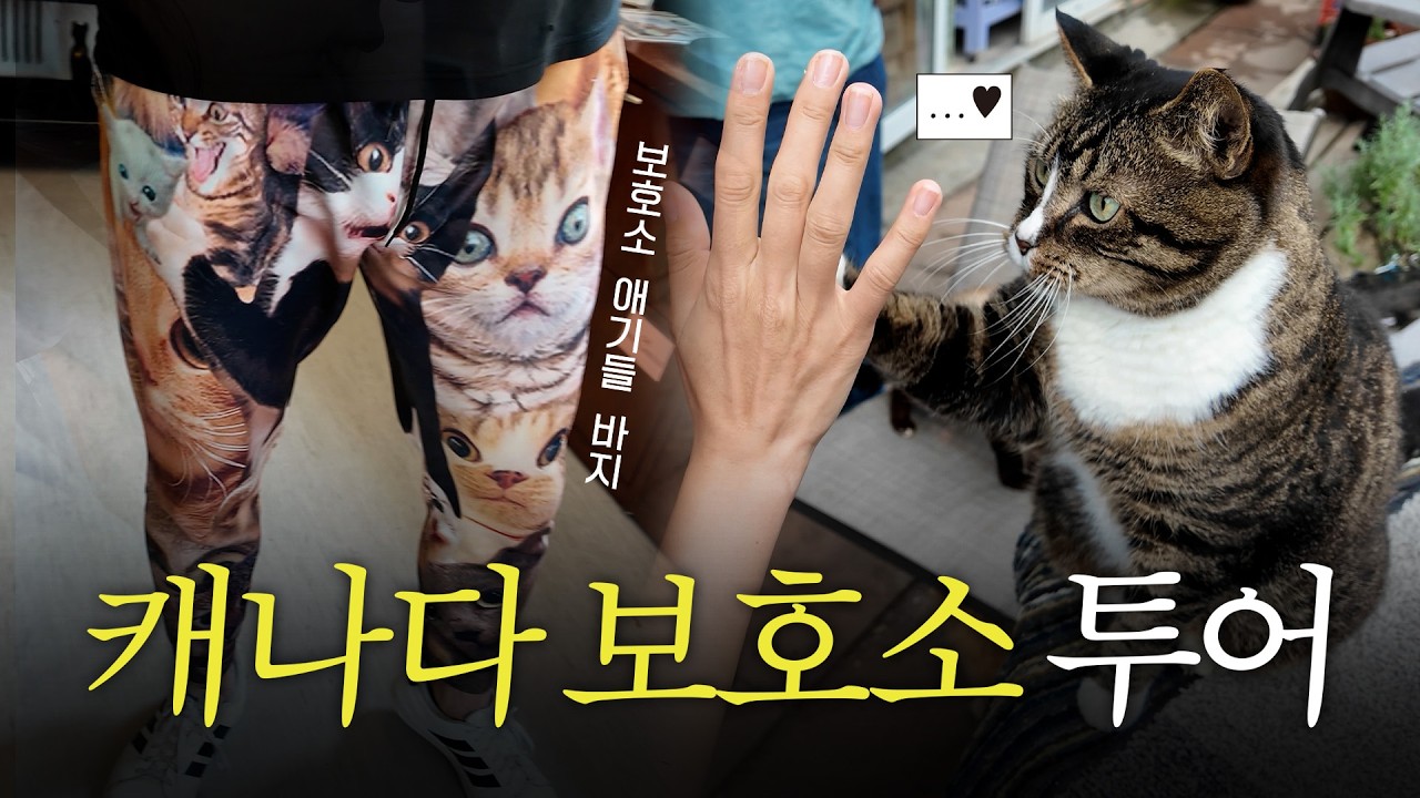 직접 가본 캐나다 유기동물 보호소, 투어🇨🇦