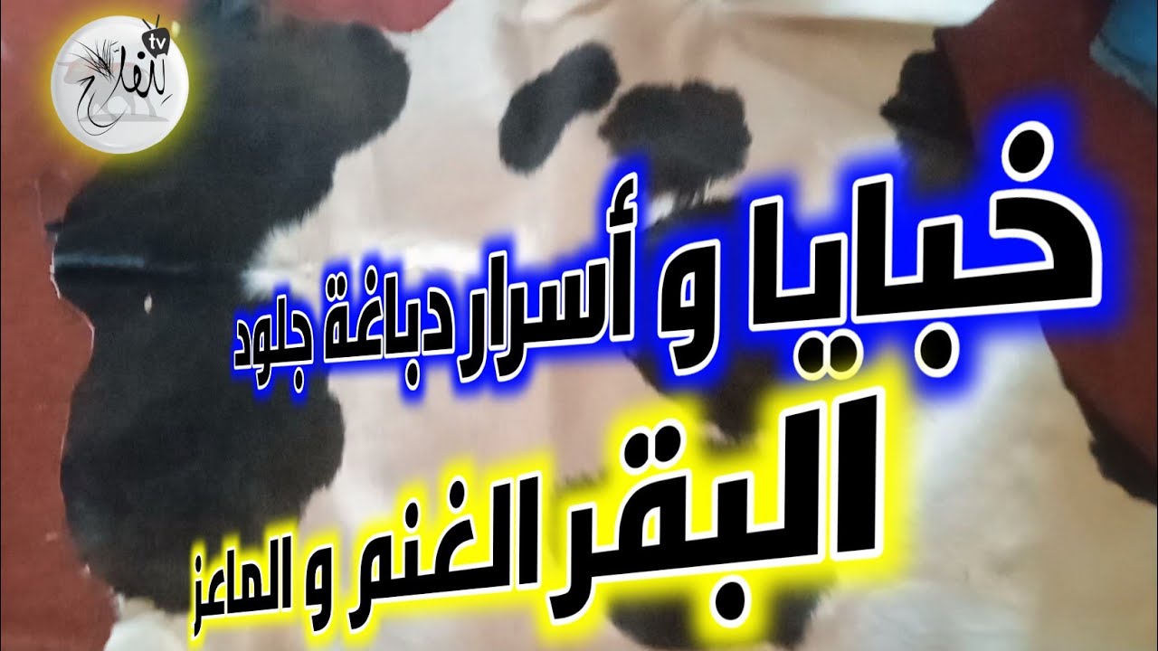 تعلم تصايب الهيدورة مع حرايفي من فاس