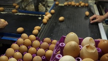 DDW20 — Eggshell Ceramics by Atelier LVDW