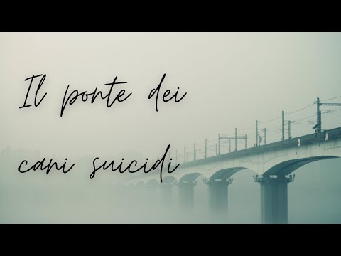 Video: Fenomeno Misterioso: A Caccia Di Suicidio, 600 Cani Sono Saltati Dal Ponte - Visualizzazione Alternativa