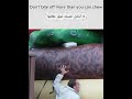 Don't bite off more than you can chew | تعلم اللغة الإنجليزية بالتكرار