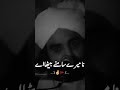 #peernaseeruddinpoetrystatus #growmyaccount #slamyahussain #followformore #viralvideo