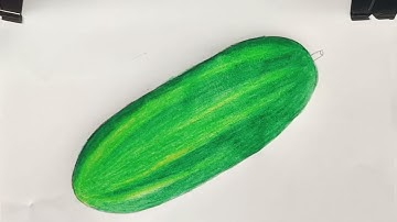 How to Draw a Cucumber 🥒 (Easy Step-by-Step Tutorial for Beginners) | Cucumber Drawing with Colors