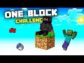 Finally! ONE BLOCK is here. Playing ONE block challenge in Minecraft #1 #Techerdon#one block