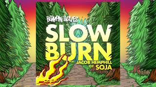 Video thumbnail of "Bumpin Uglies - 'Slow Burn' ft. Jacob Hemphill of SOJA (Official Audio)"