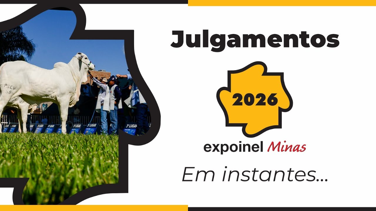 Expoinel Minas 2026 - Julgamentos (Terça-Feira)