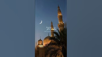 وعسى أن تكرهوا شيئا وهو خير لكم - سورة البقرة الايه 216 - الشيخ ياسر الدوسري